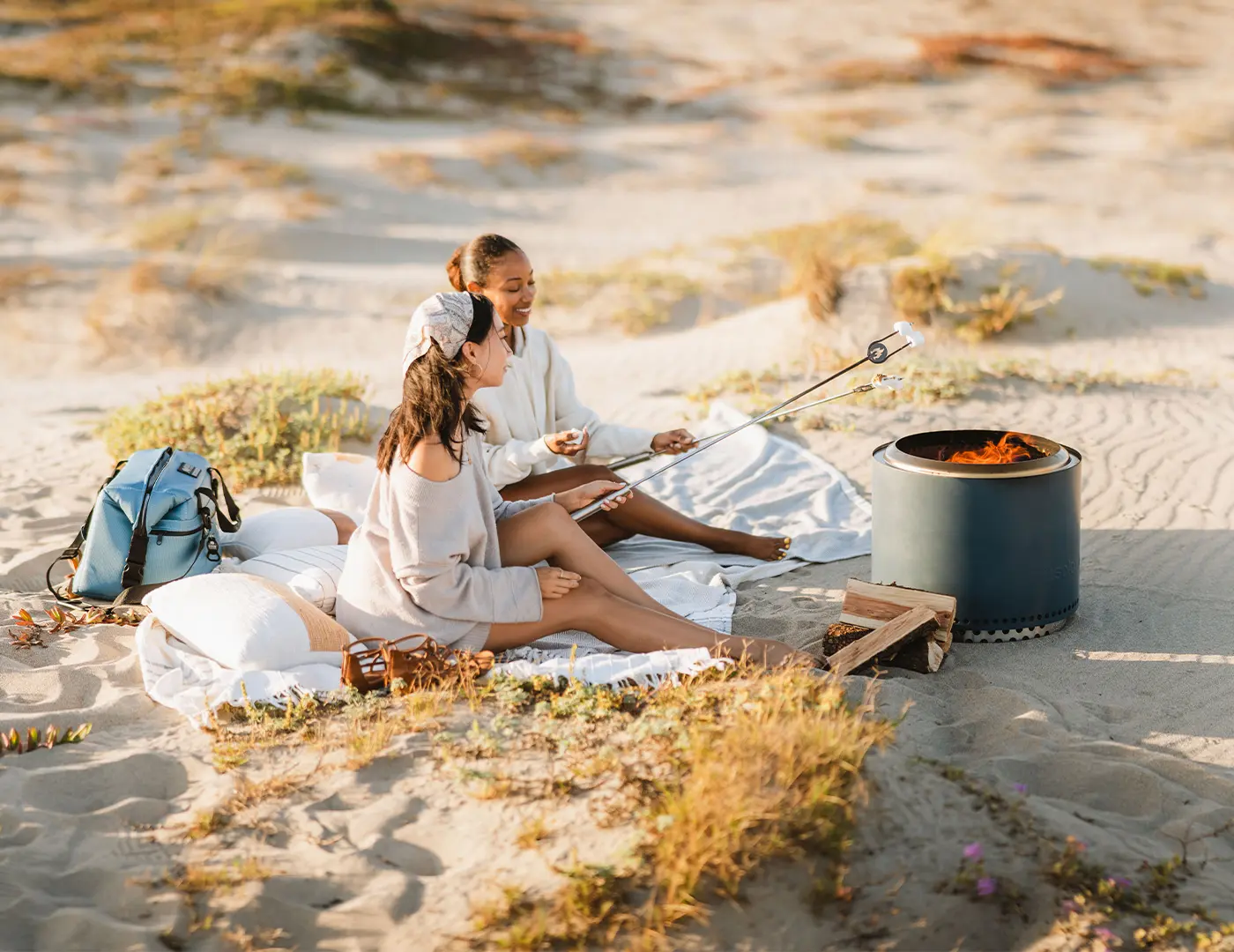 Banner de ofertas de chimeneas