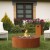 Galio Star Corten Automático