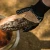 Guantes resistentes al calor de Solo Stove